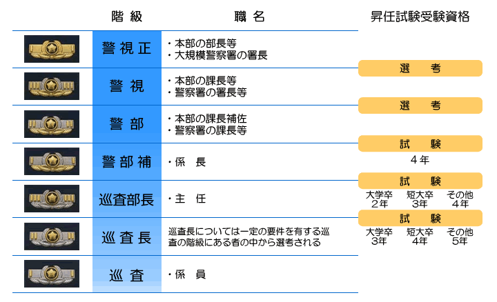 昇任制度