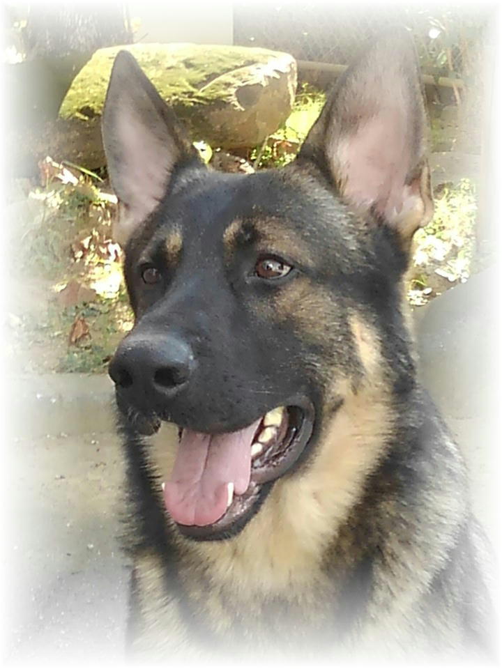 カイザー号 カイザー号