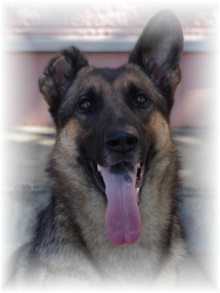 レグルス号 レグルス号