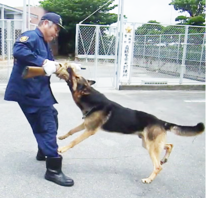 警戒訓練（銃器奪取）状況