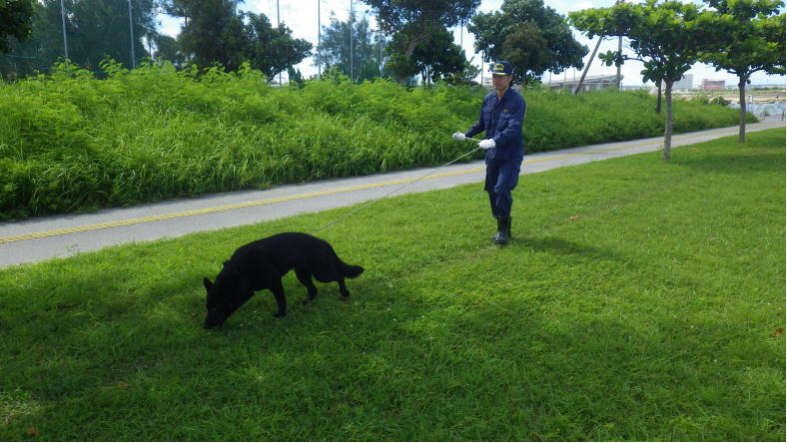 足跡追及中の警察犬