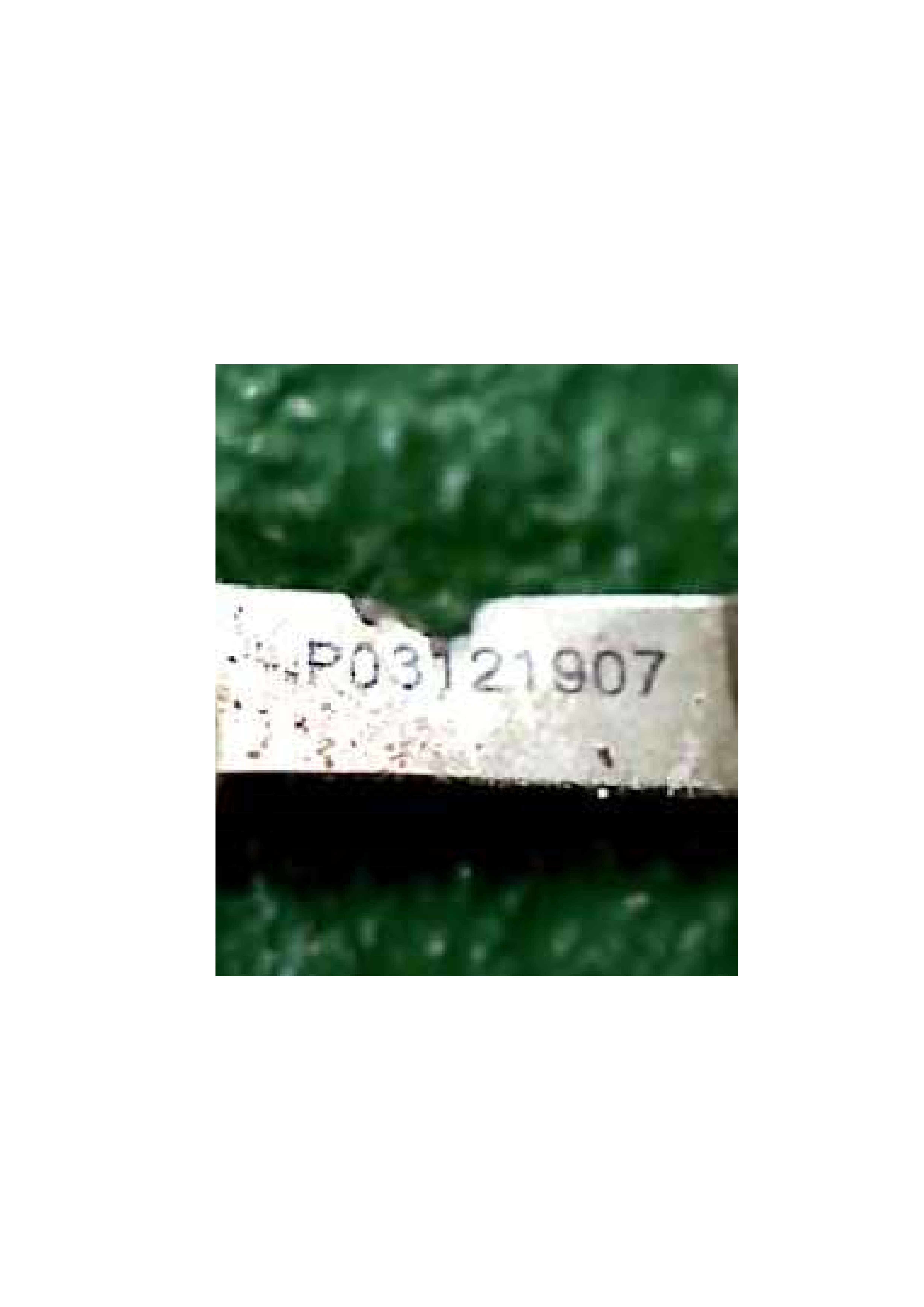 癒着プレート×１